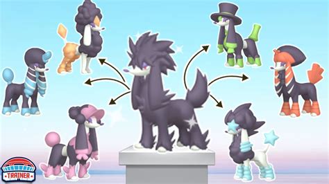 Pokemon Go Furfrou and Shiny Furfrou Forms .